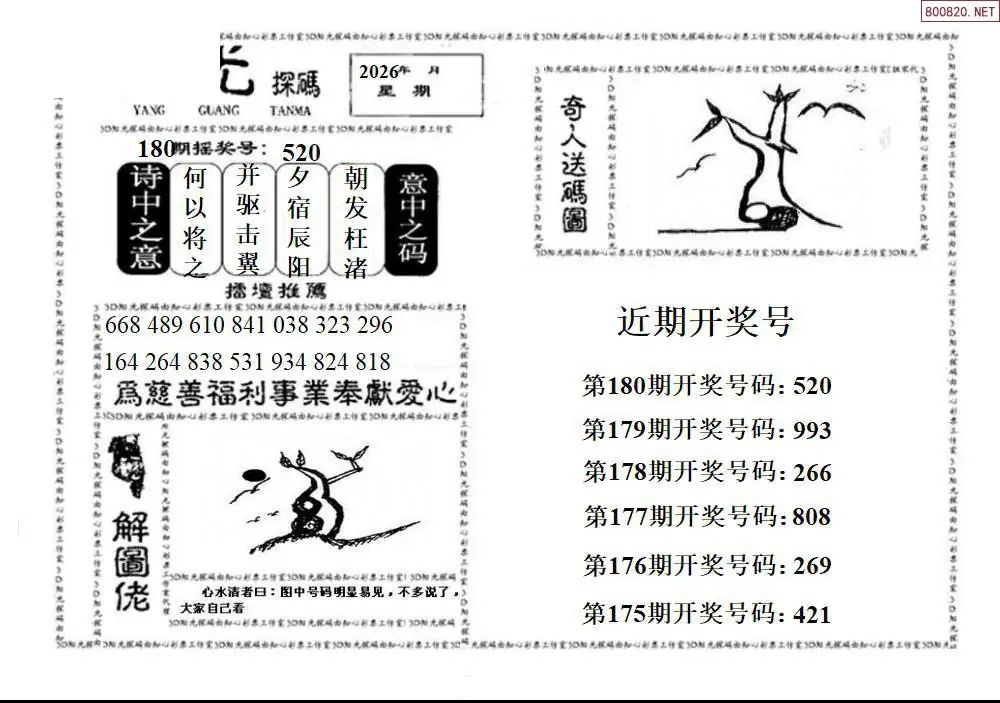 3D阳光探码