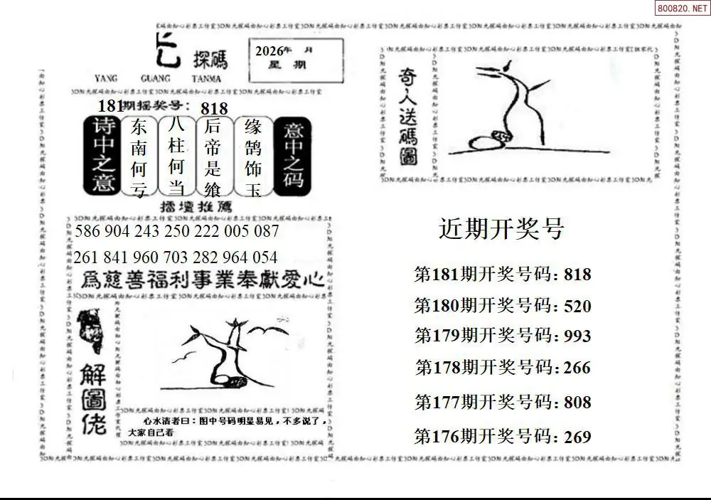 3D阳光探码