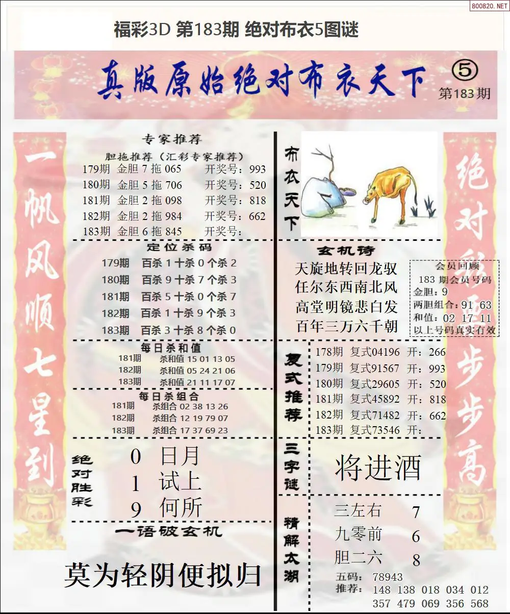 绝对布衣5