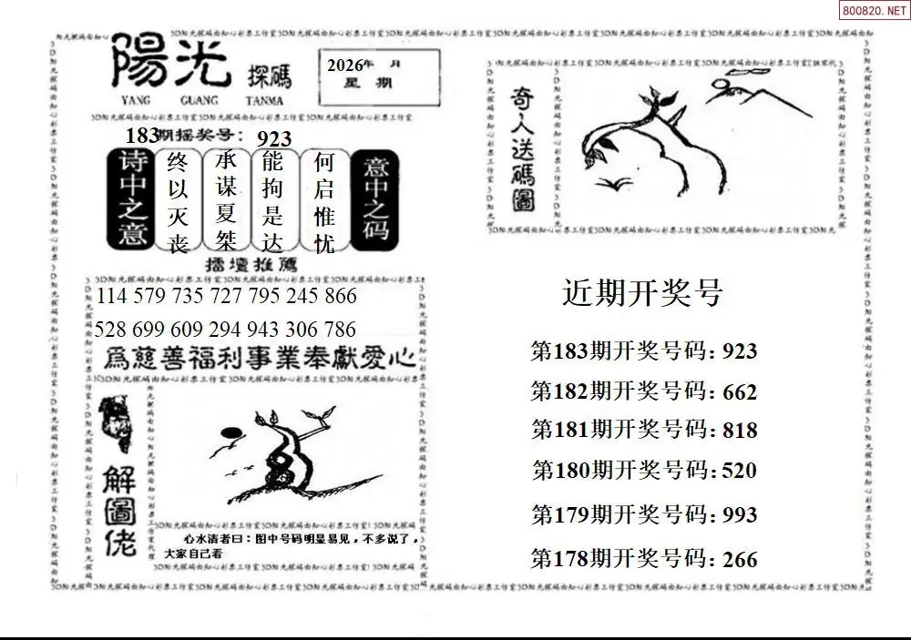 3D阳光探码