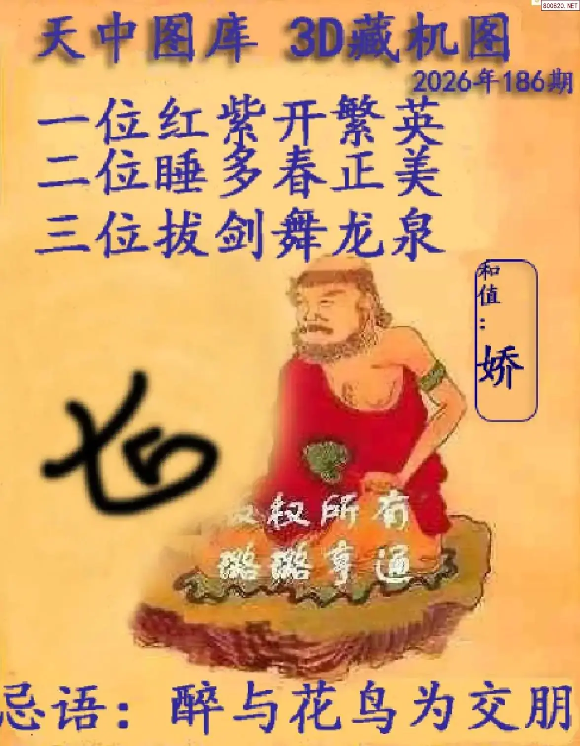 天中藏机图
