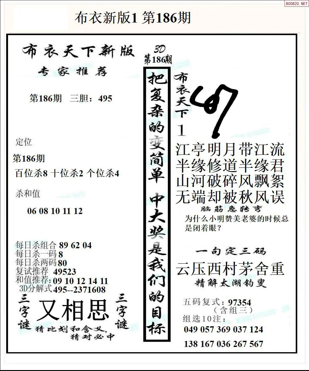 A51新版布衣1
