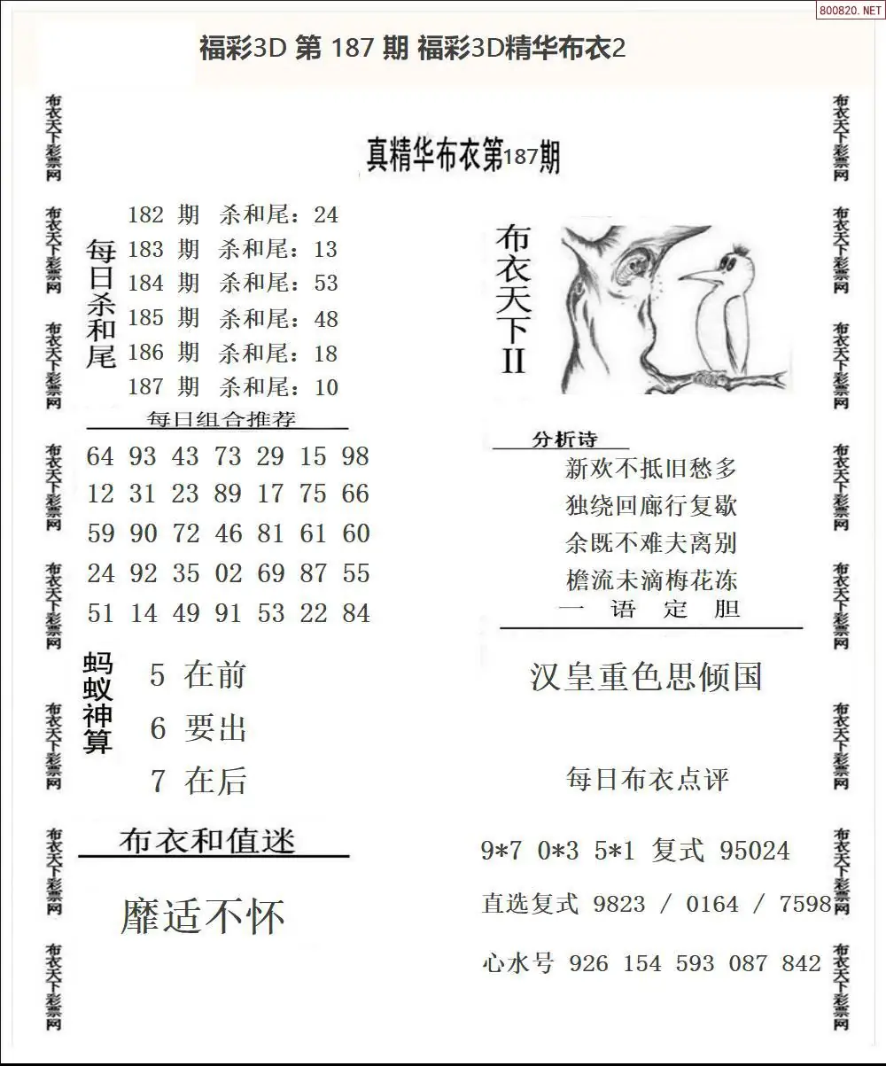 A34精华布衣2