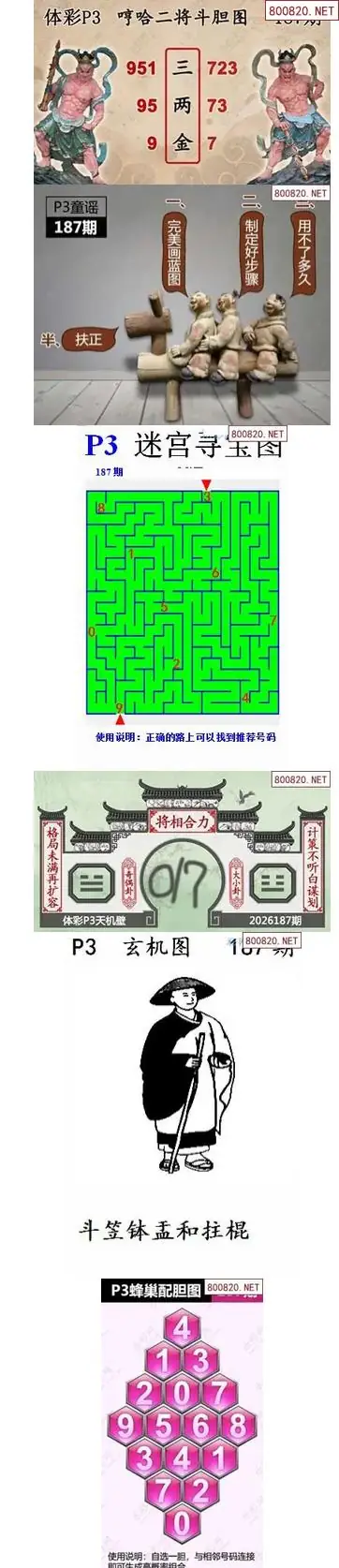 蜂巢天机图谜