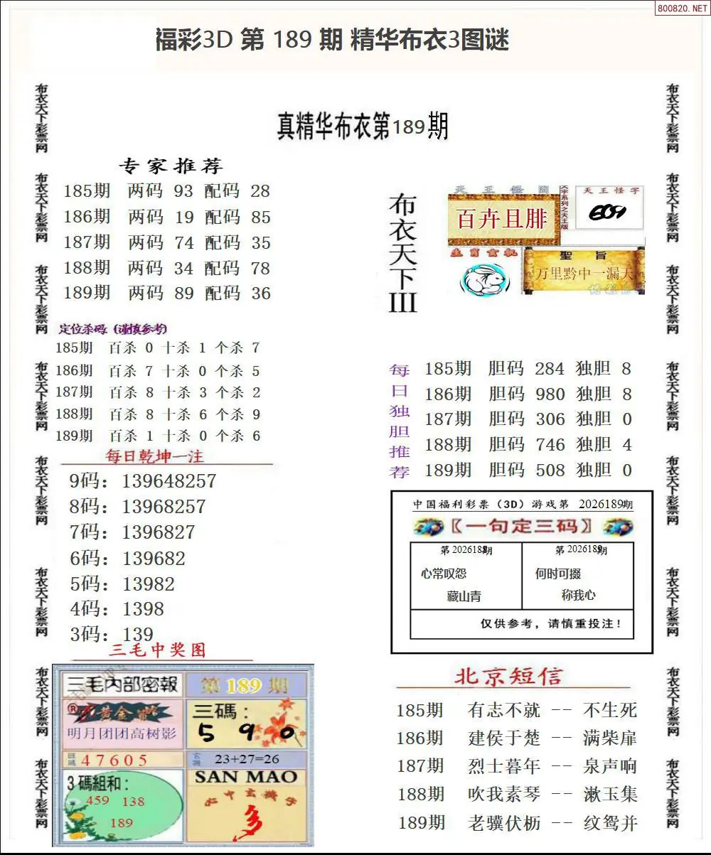 A35精华布衣3