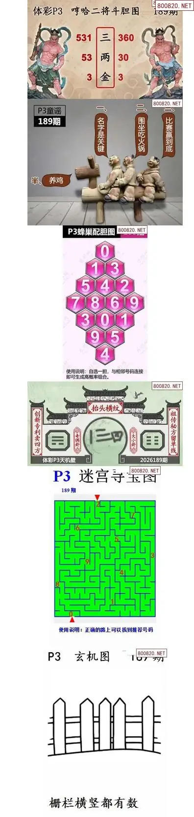 蜂巢天机图谜