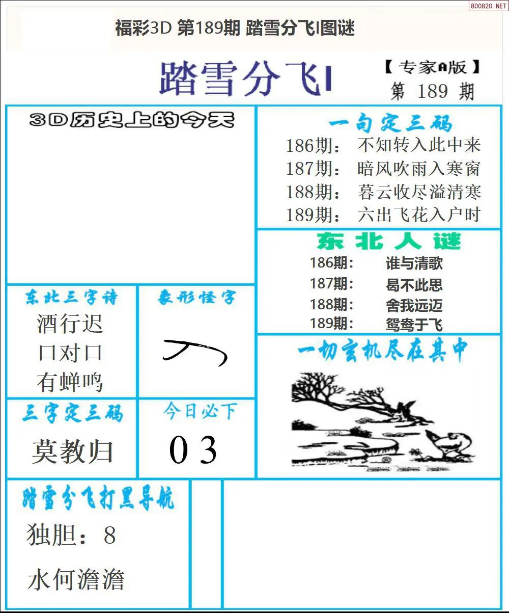 A167东北彩报1版