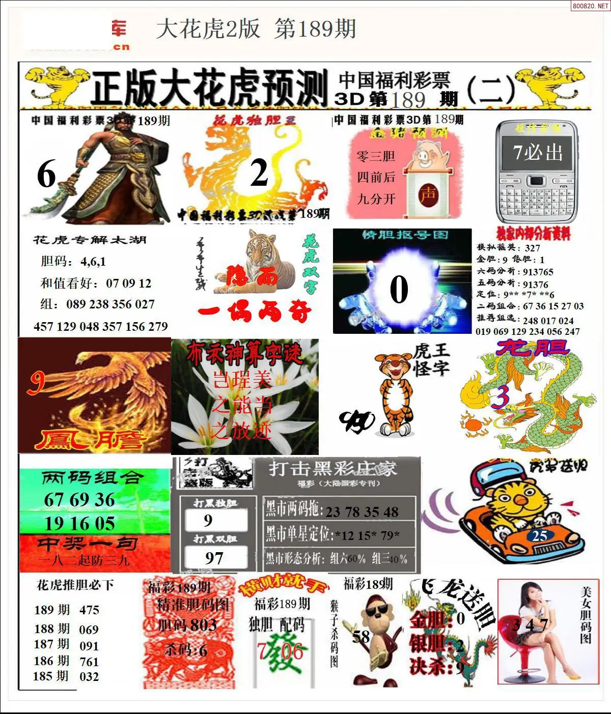 A200大花虎2版