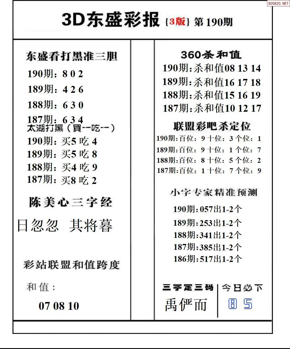 A229东盛彩报3版