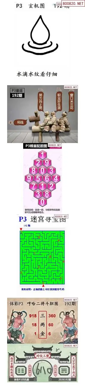 蜂巢天机图谜
