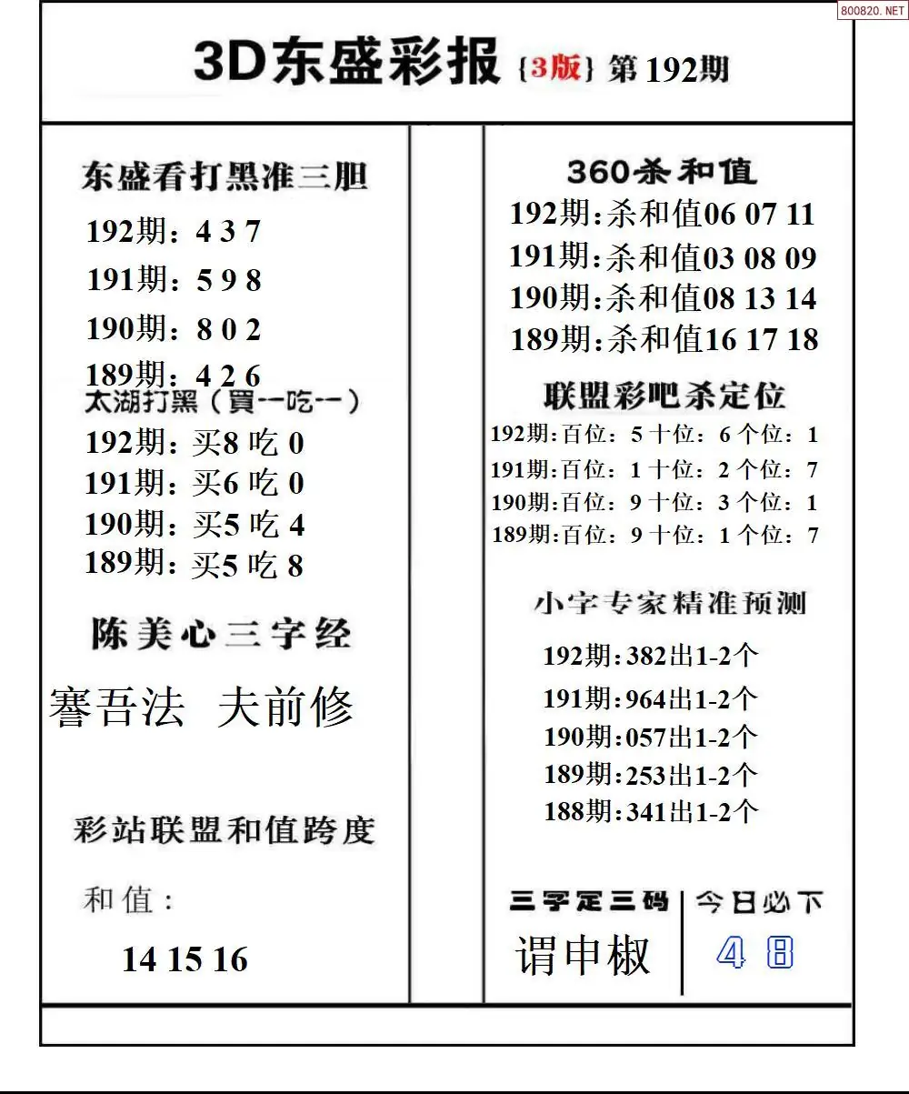 A229东盛彩报3版