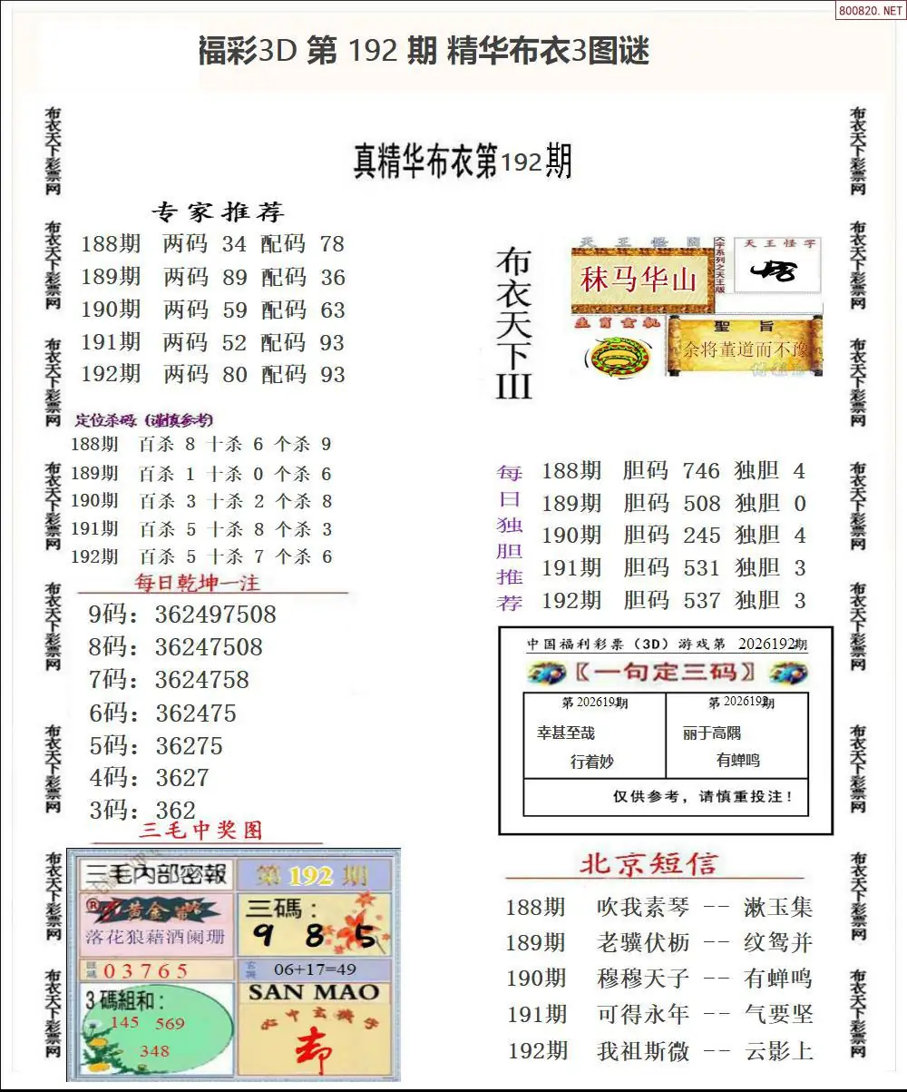 A35精华布衣3