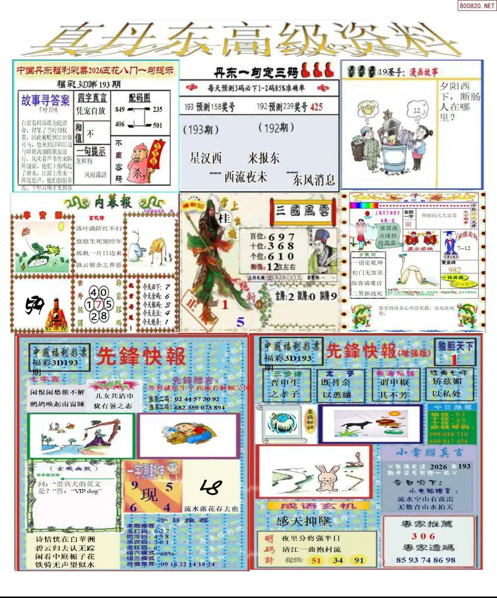 真丹东高级资料