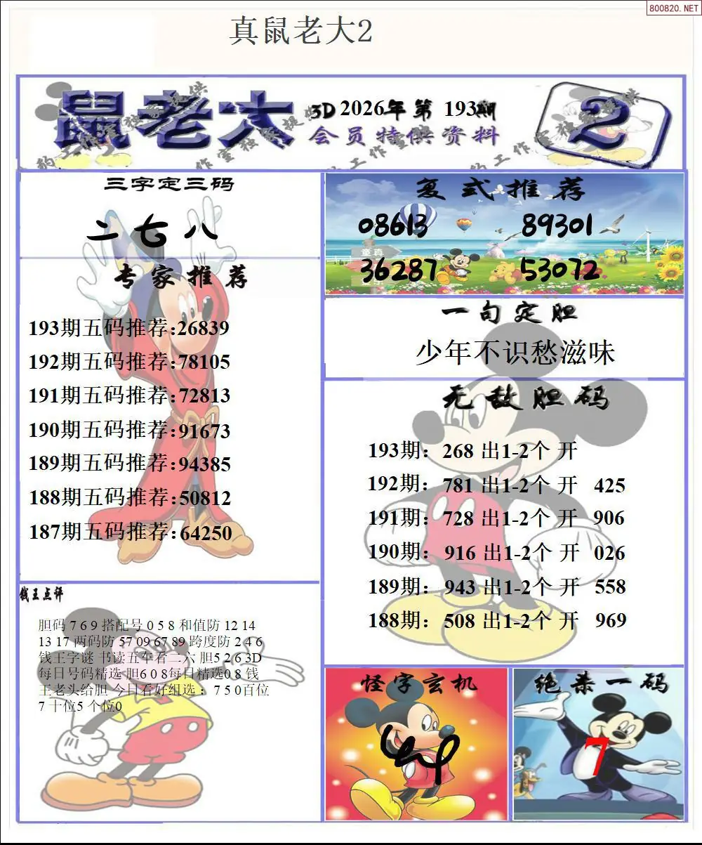 A204鼠老大2版