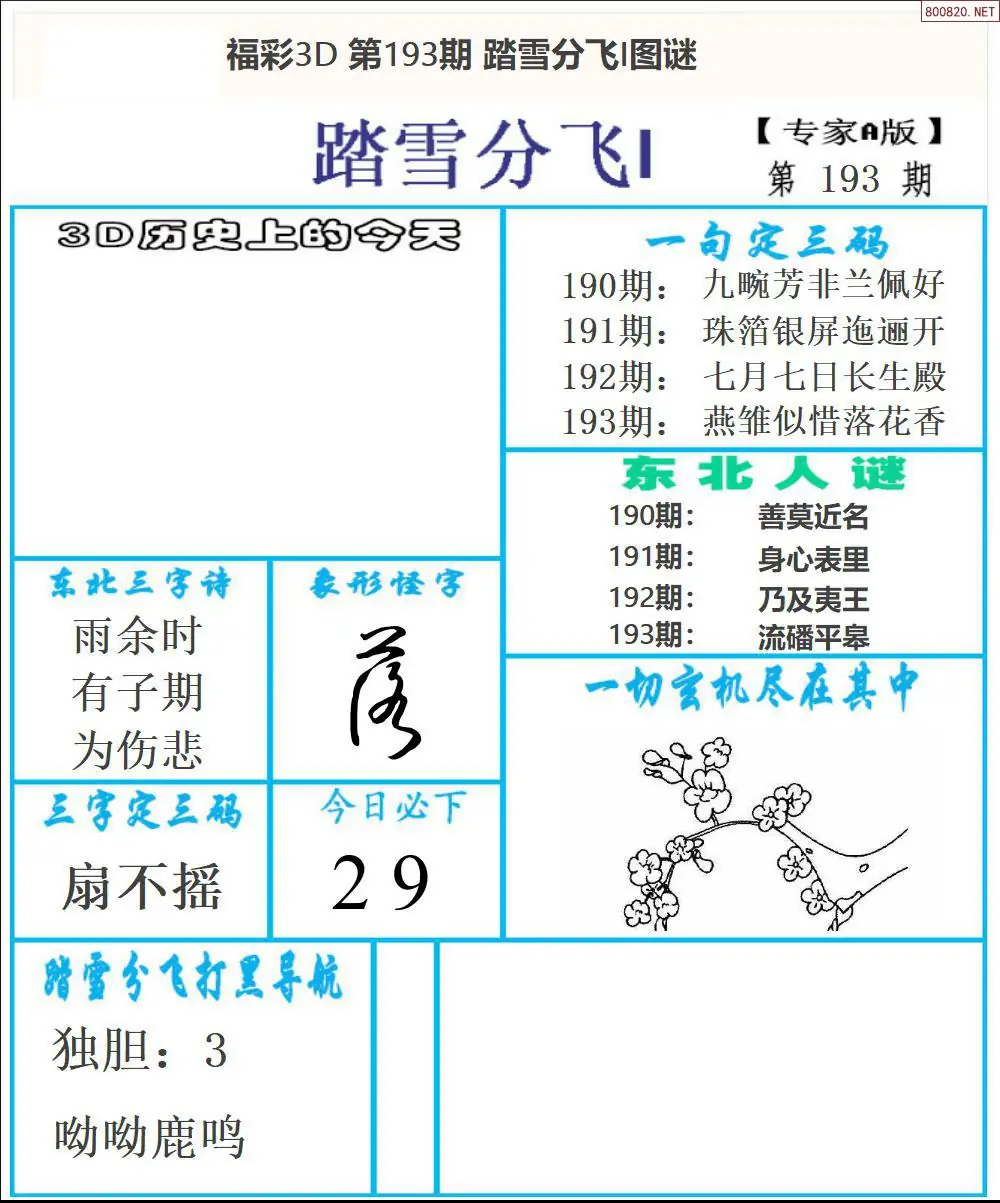 A167东北彩报1版
