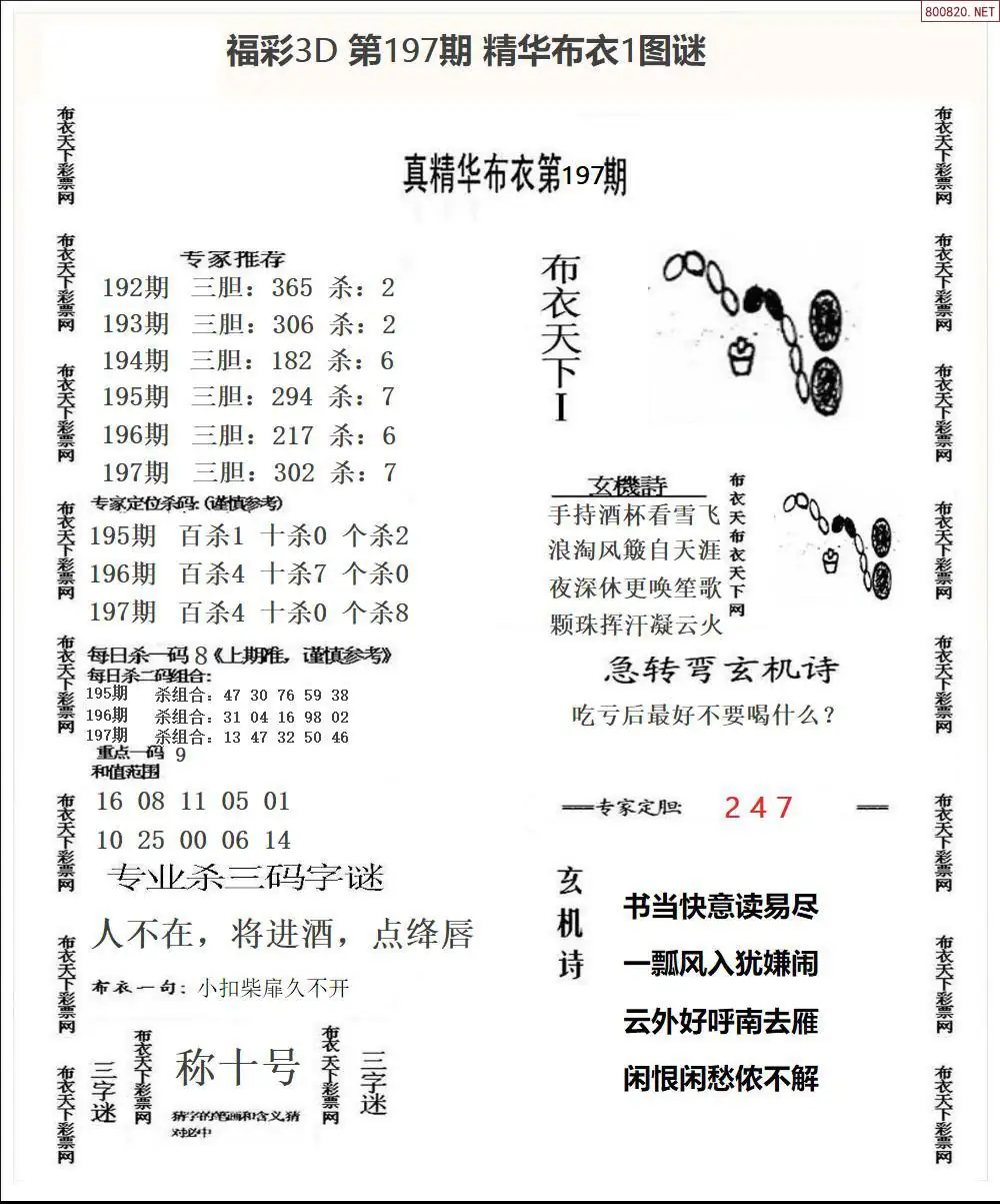 A33精华布衣1