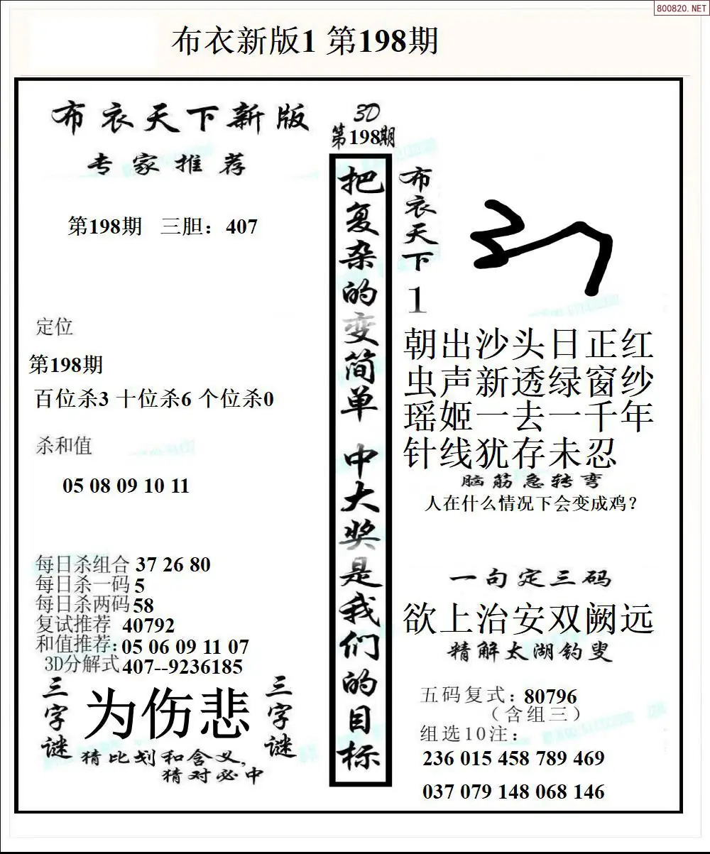 A51新版布衣1