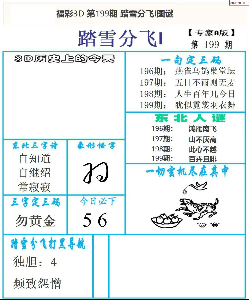 A167东北彩报1版