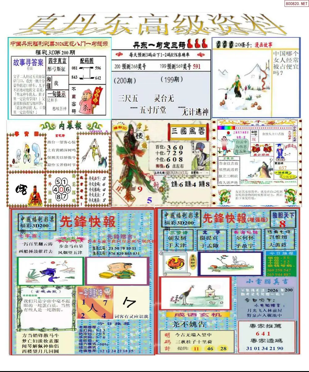 A307真丹东高级资料
