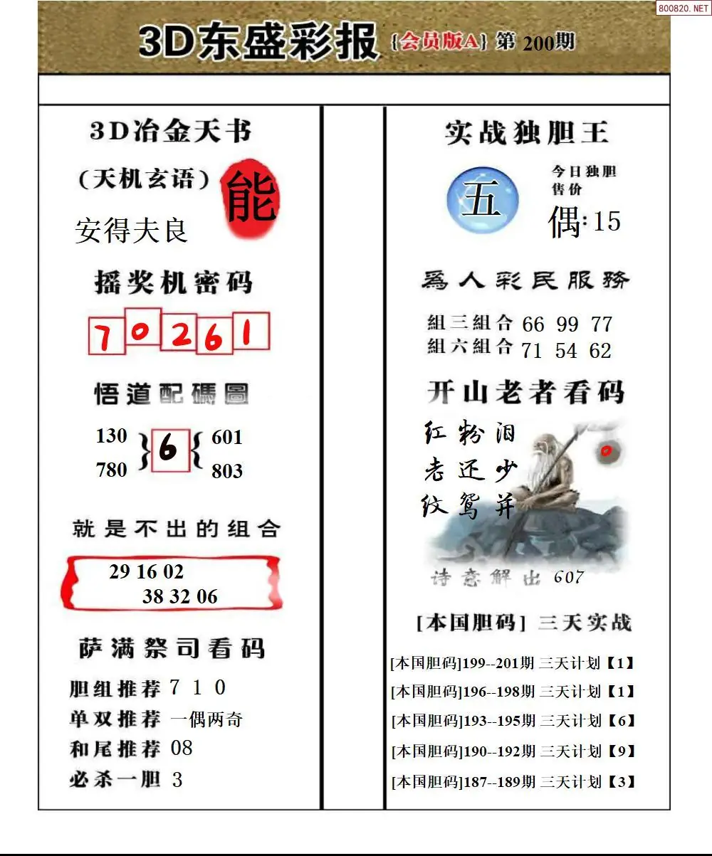 A236东盛VIP版A版