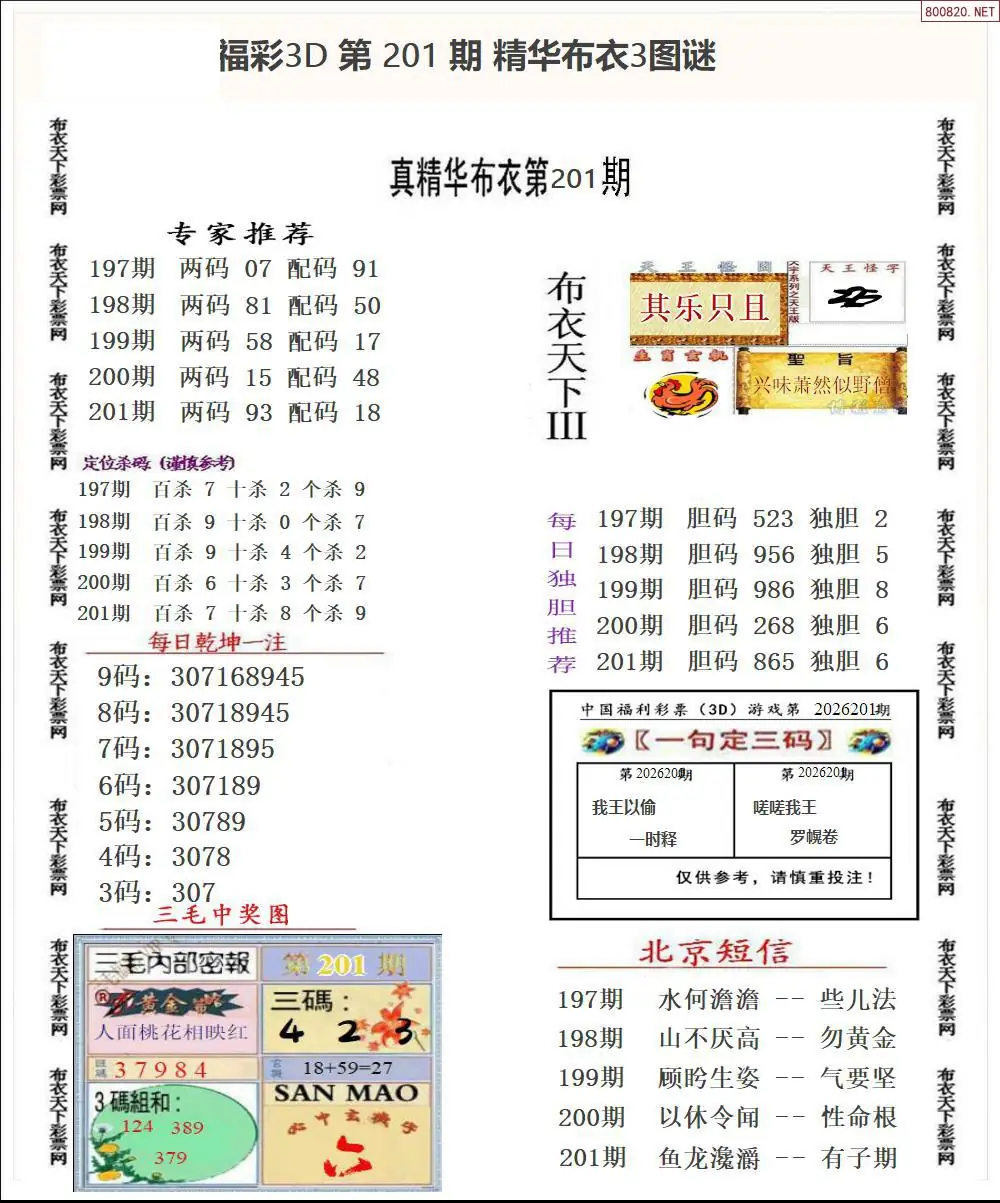A35精华布衣3