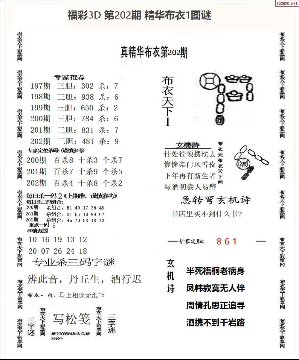 A33精华布衣1