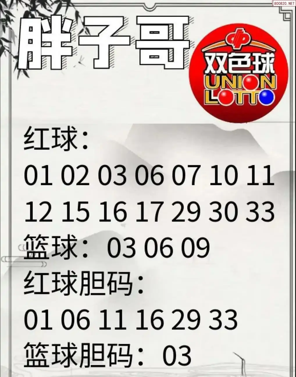 胖哥推荐