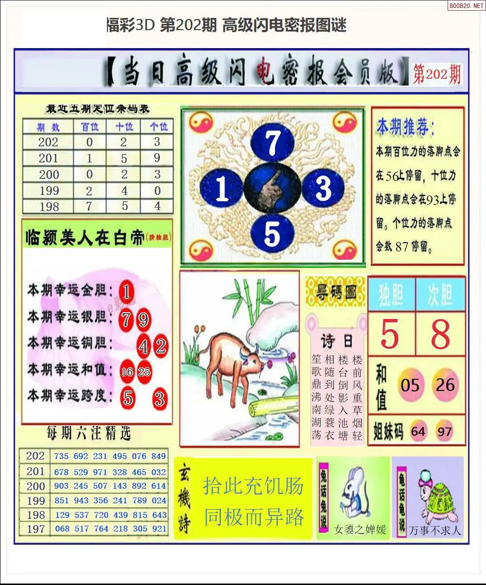 A265闪电密报
