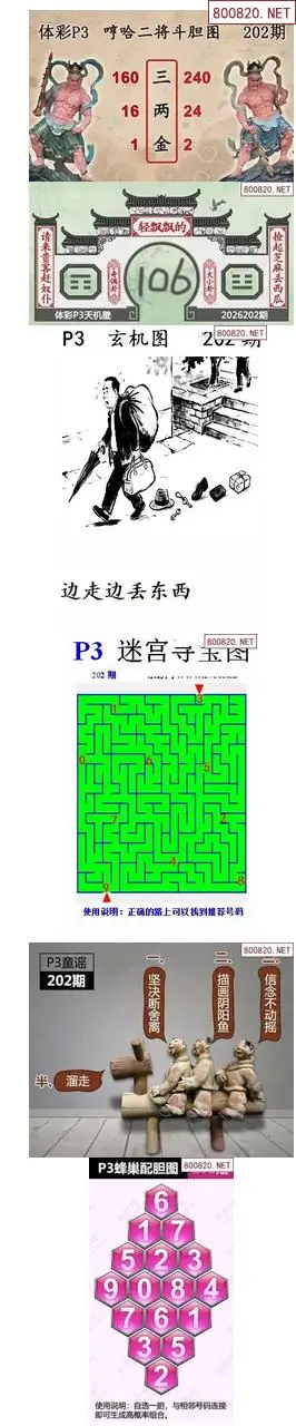 蜂巢天机图谜