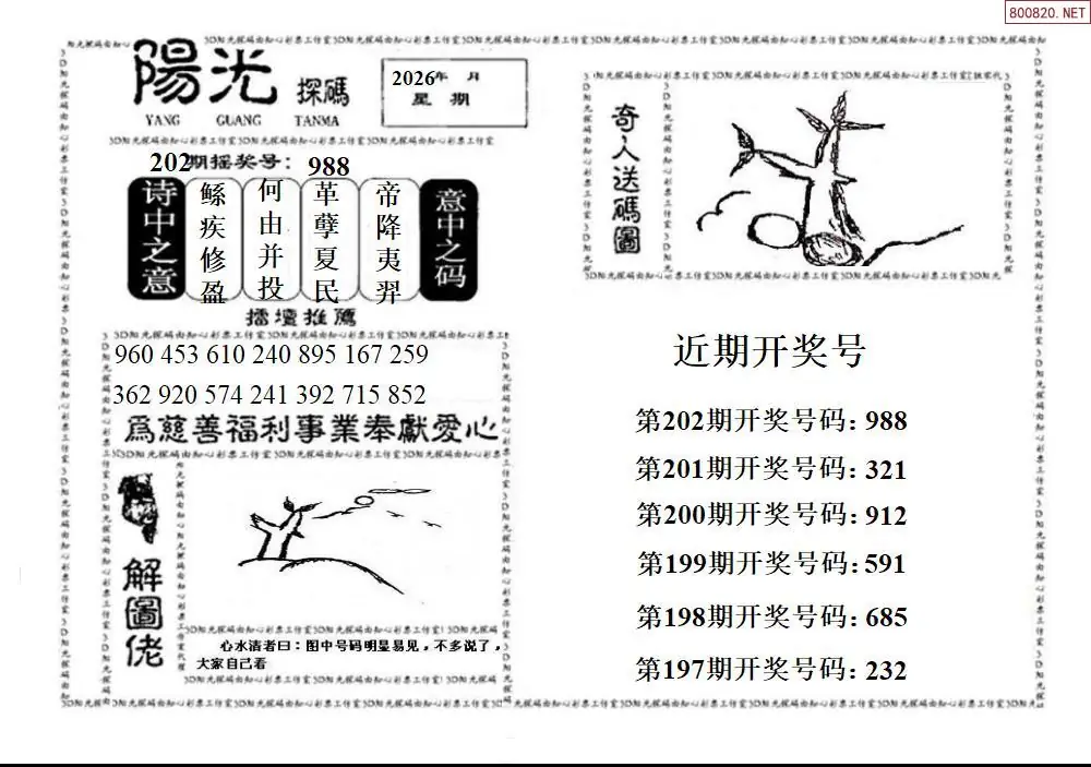 A2123D阳光探码