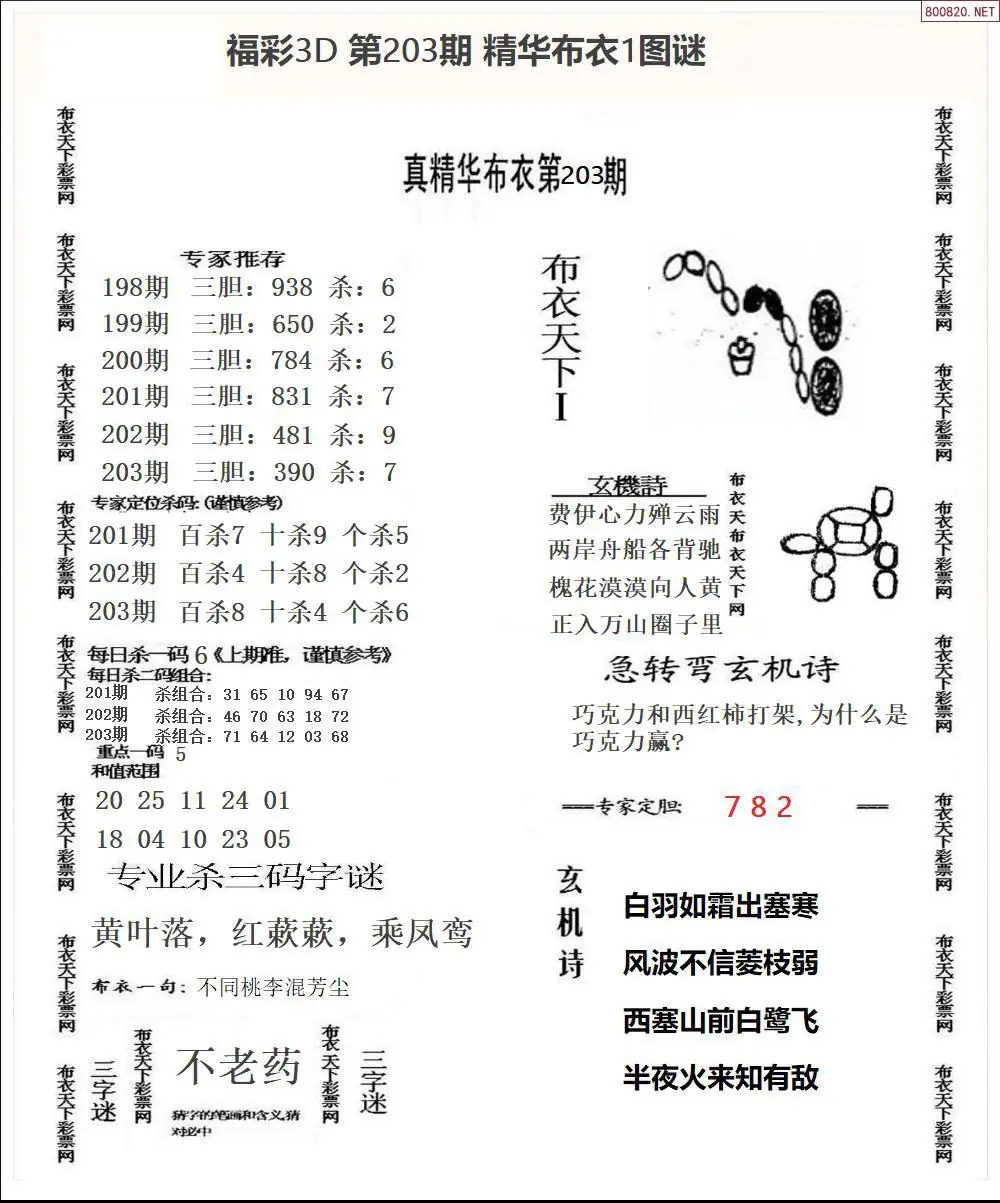 A33精华布衣1