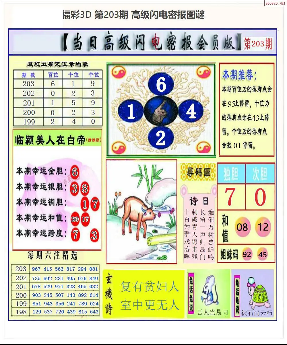 A265闪电密报