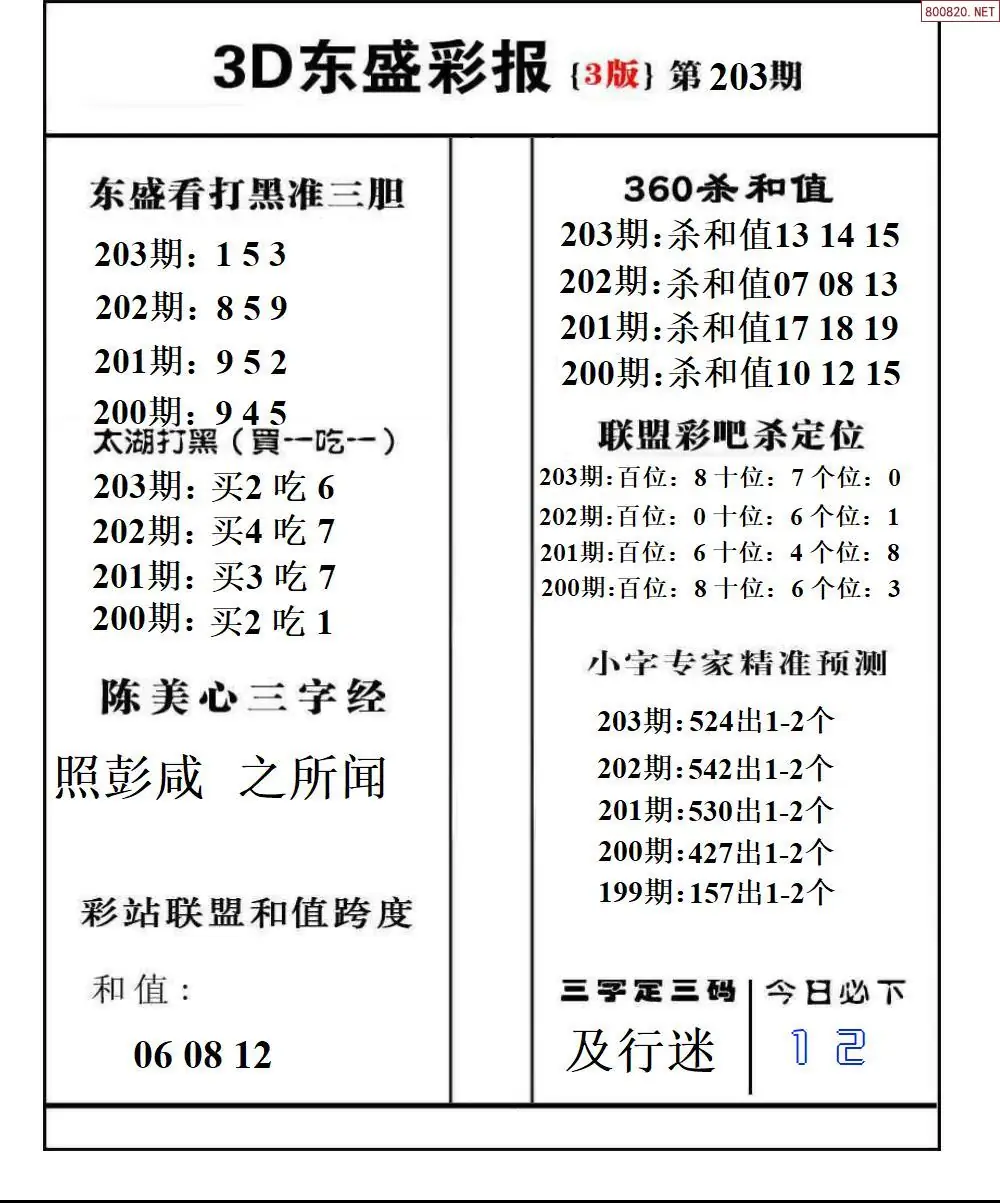 A229东盛彩报3版