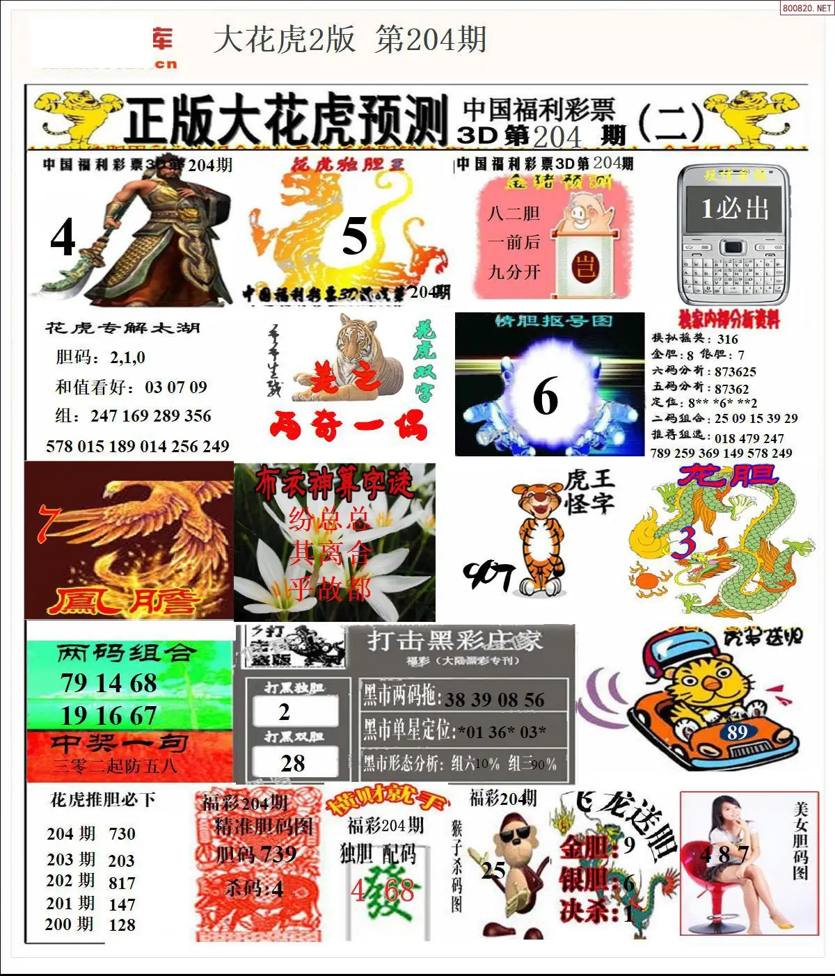 A200大花虎2版