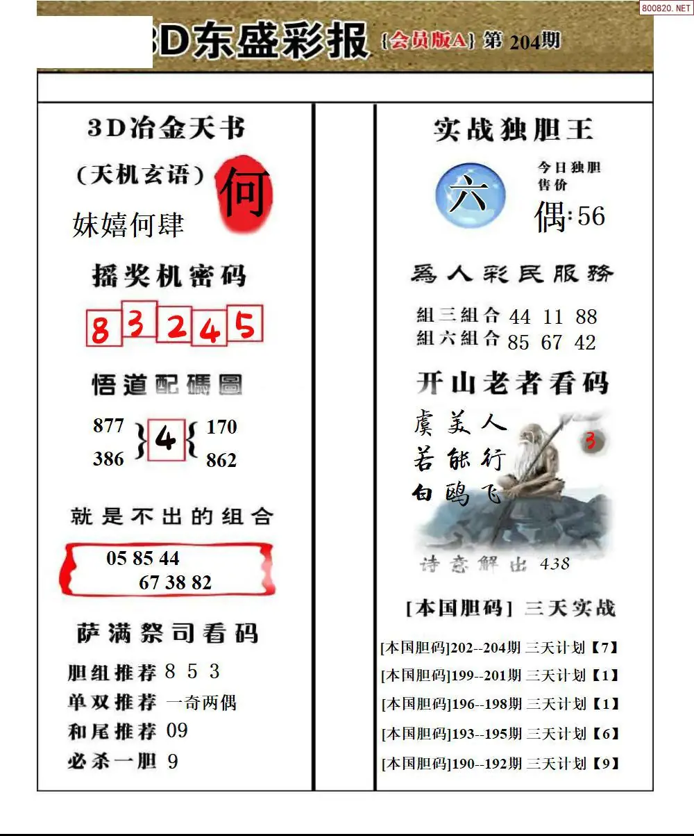 A236东盛VIP版A版
