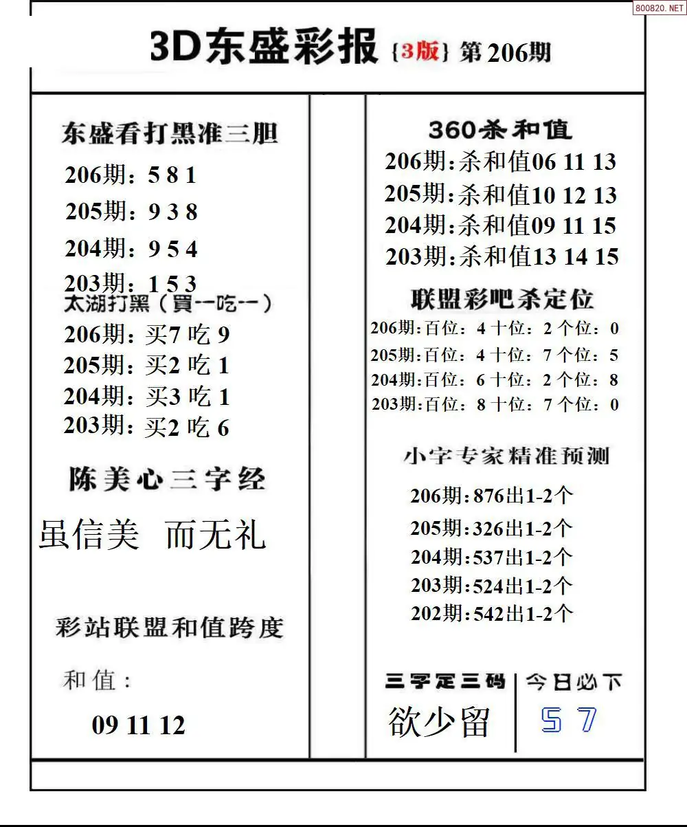 A229东盛彩报3版