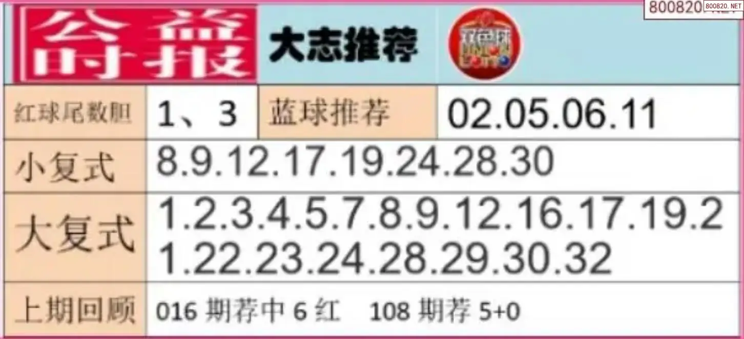 胖哥推荐
