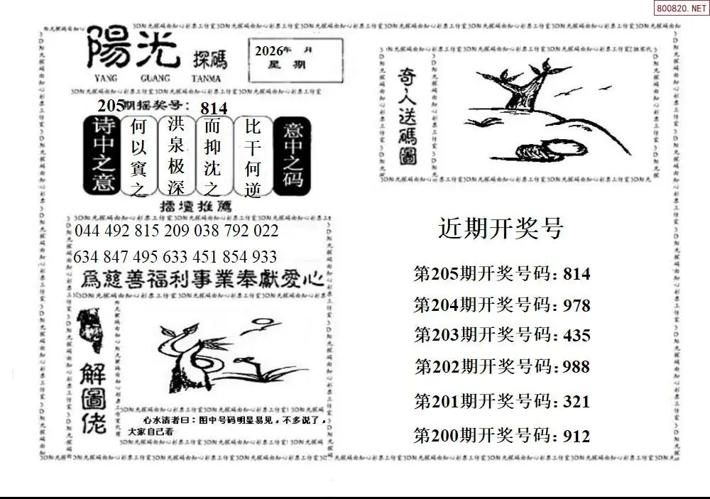 A2123D阳光探码