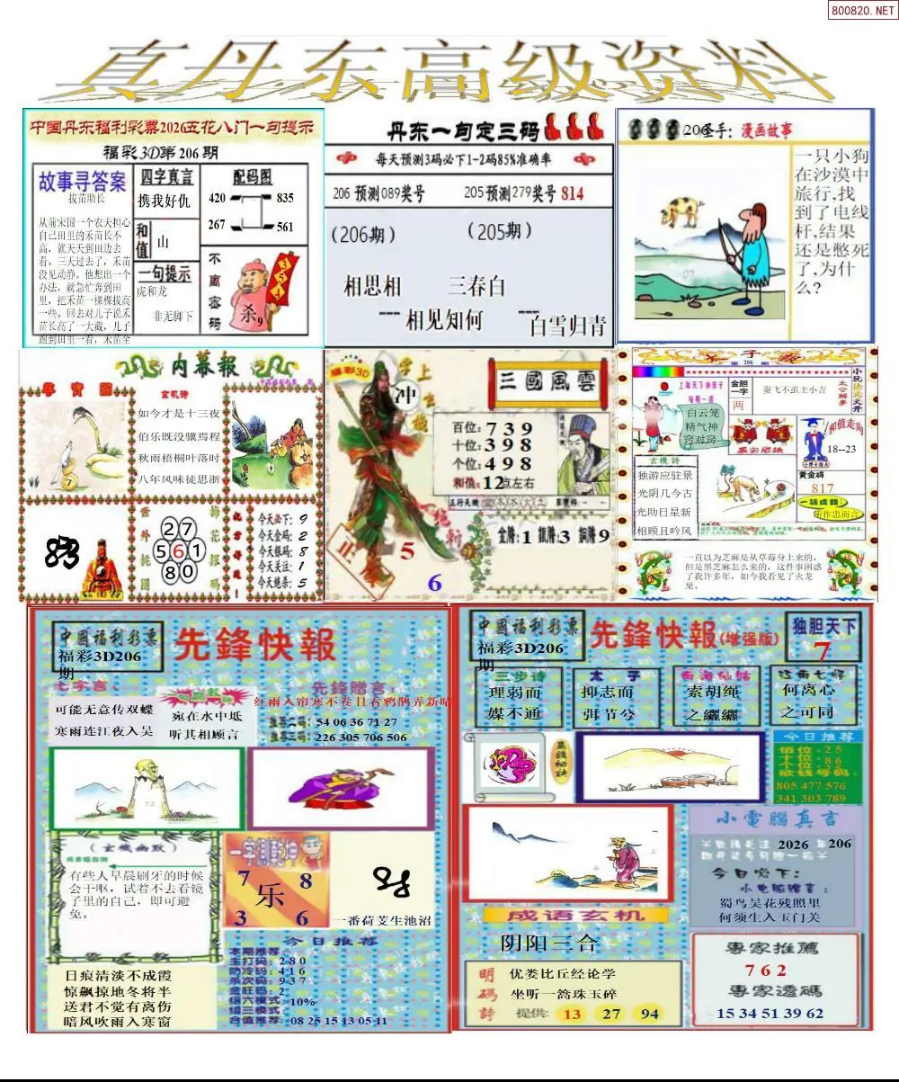 A307真丹东高级资料