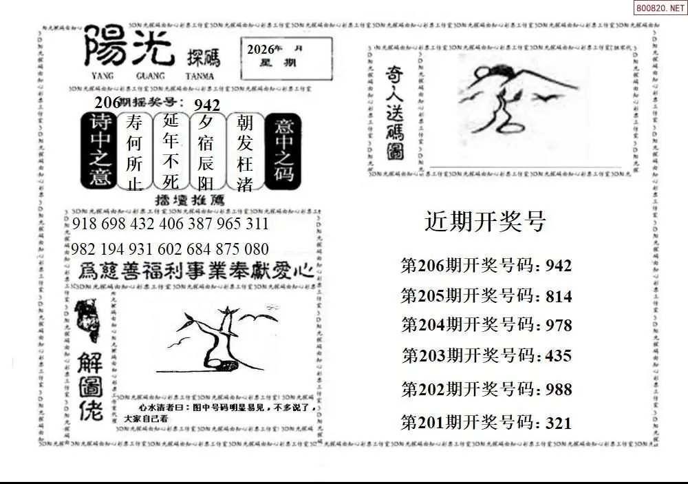A2123D阳光探码