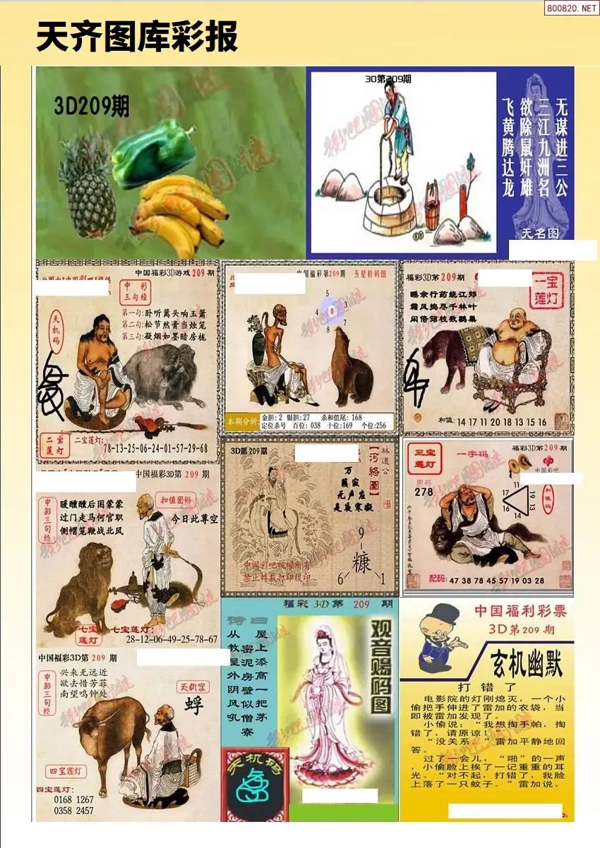 天齐原创彩报D