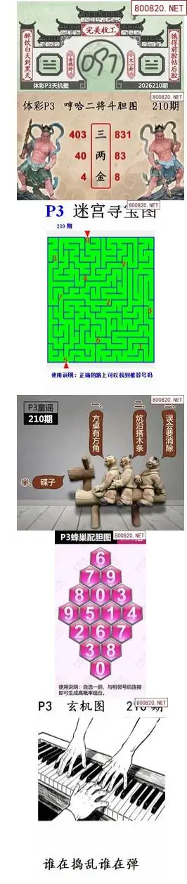 蜂巢天机图谜
