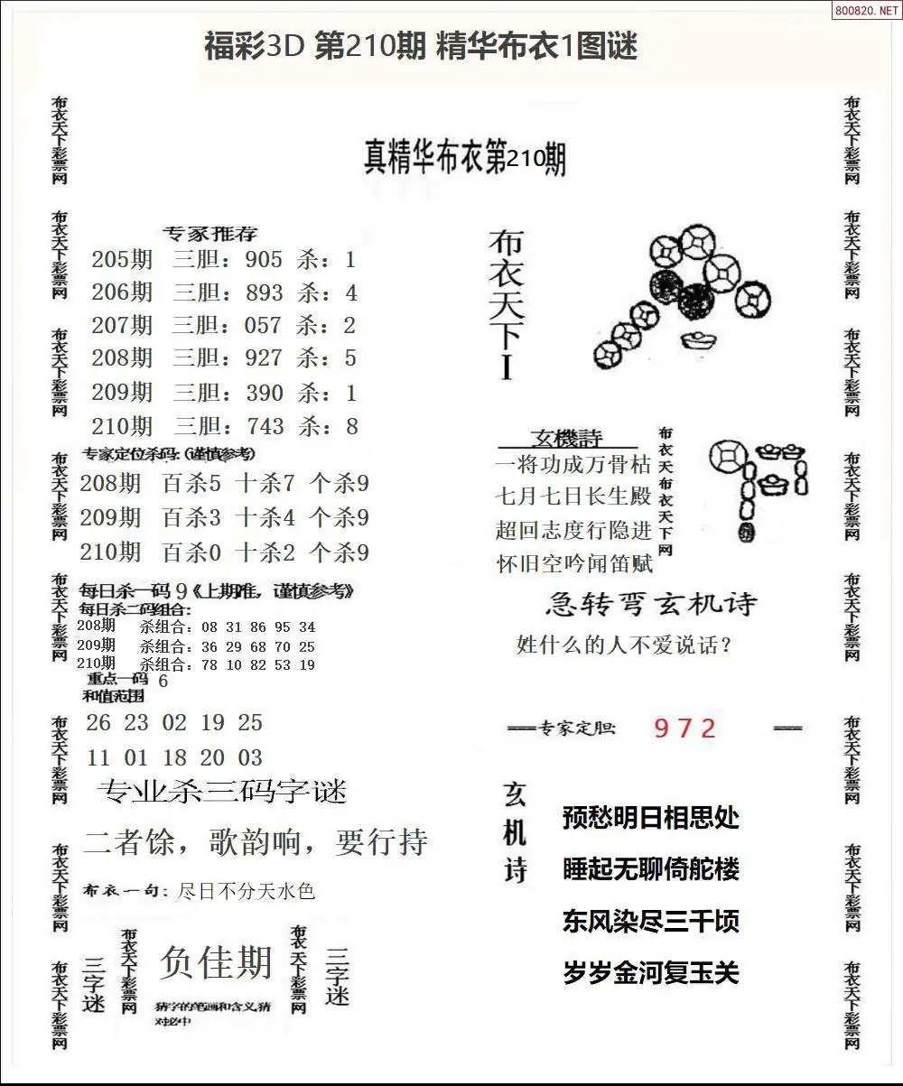 A33精华布衣1