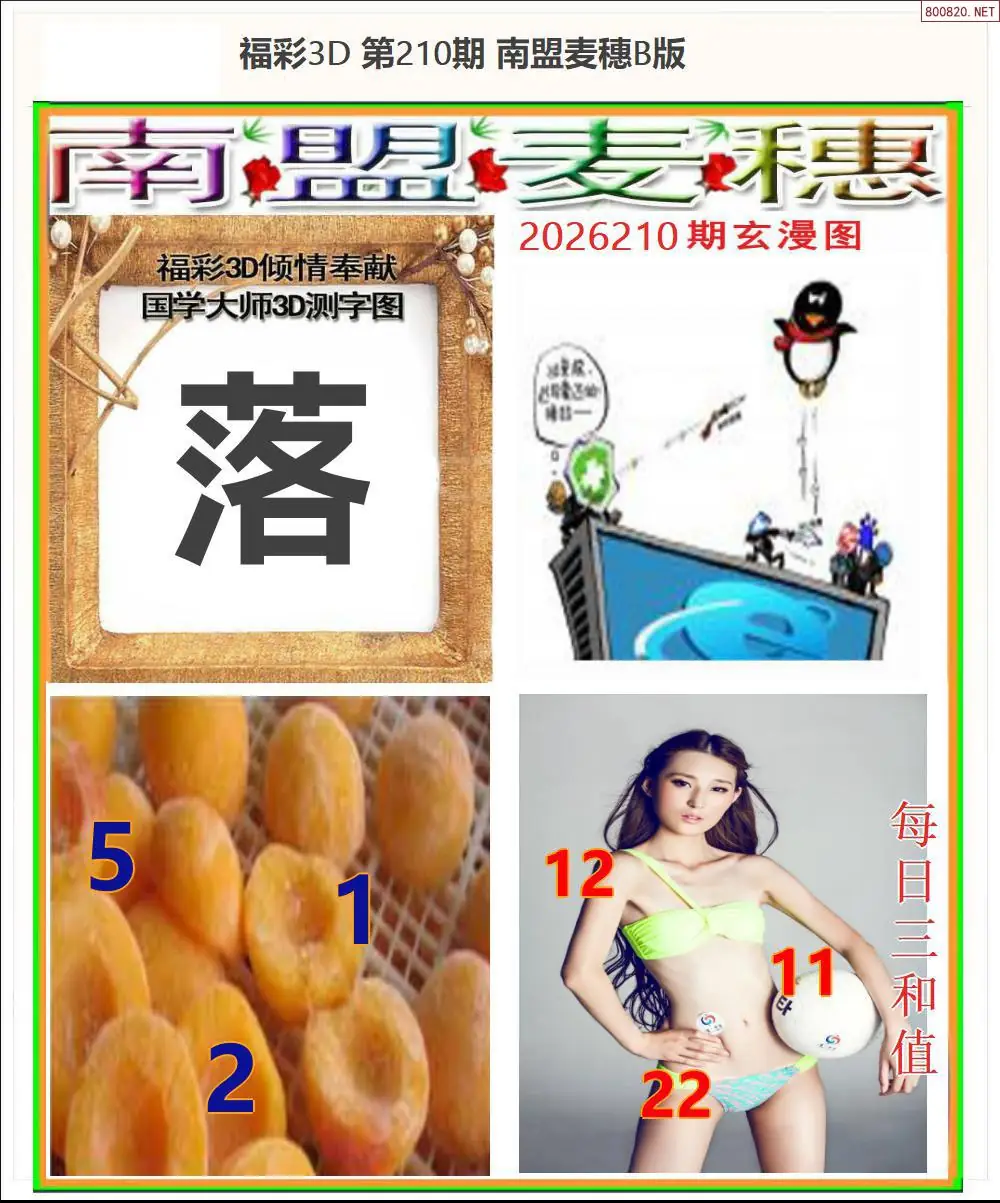 A182南盟麦穗B版