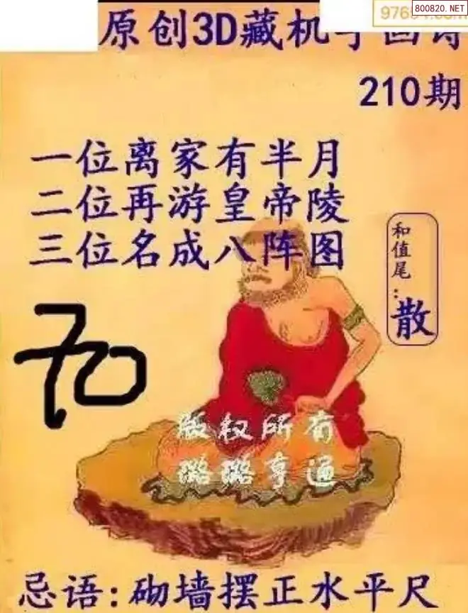 牛彩3D藏机图