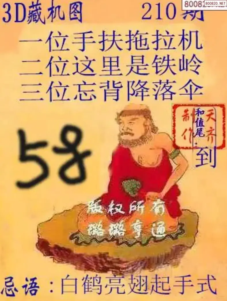 天齐3D藏机图