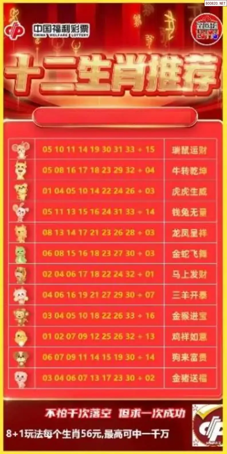 十二生肖推荐图