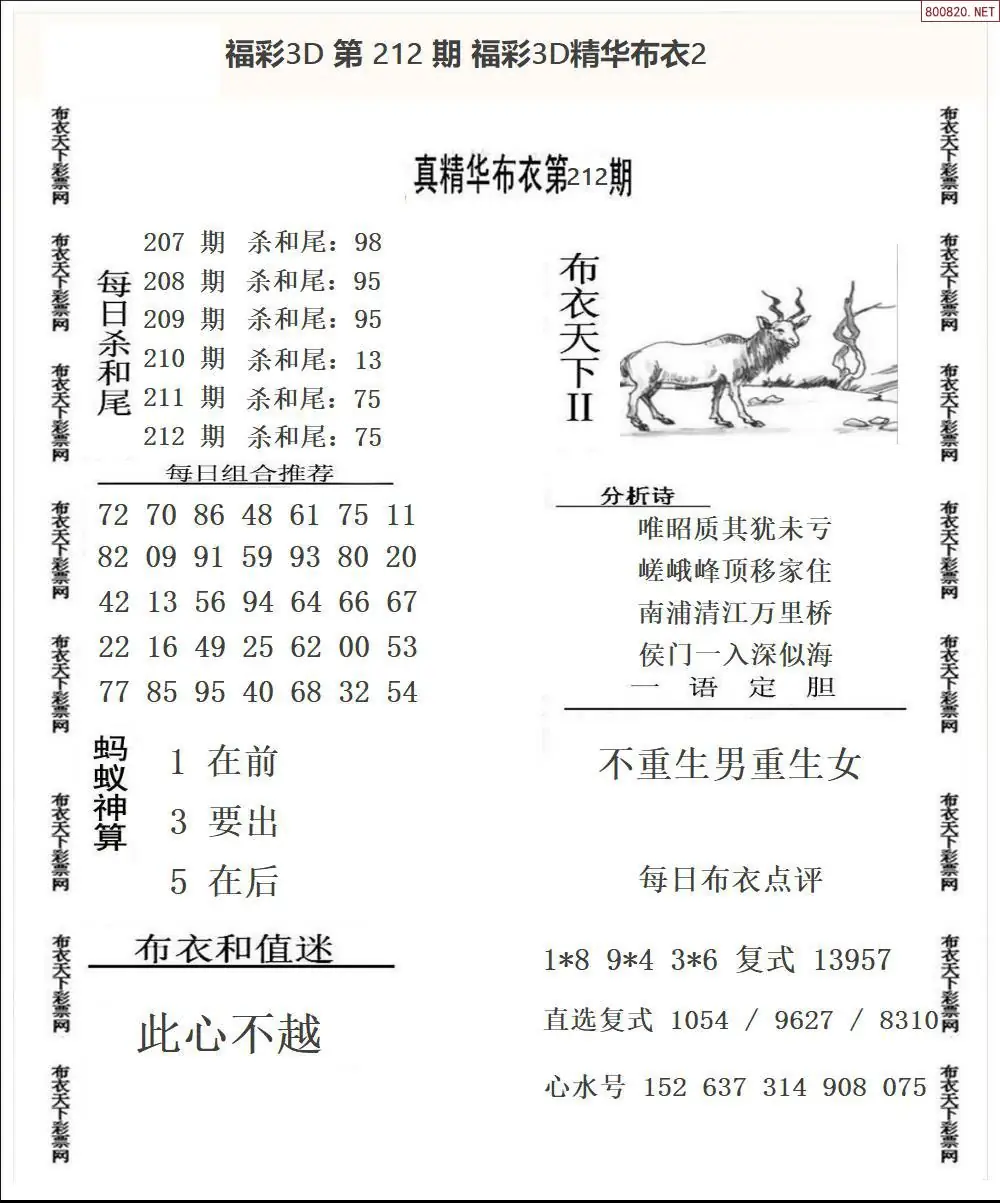 A34精华布衣2