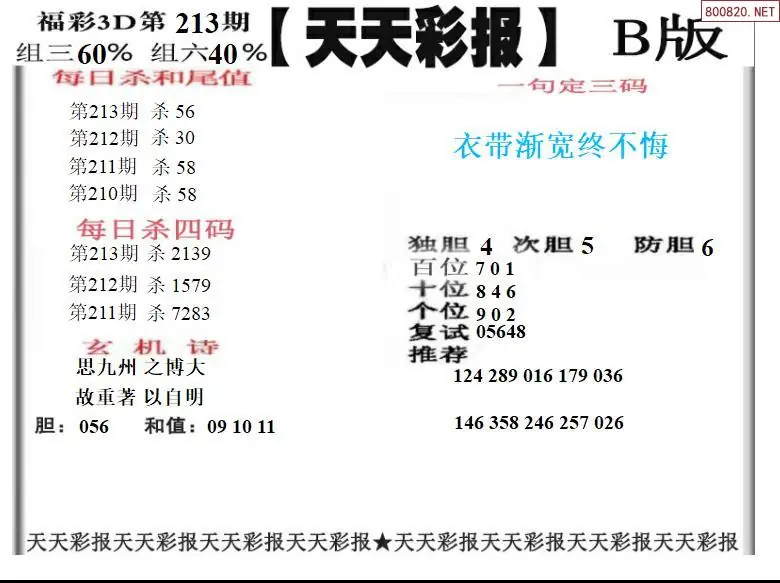A202天天彩报2版