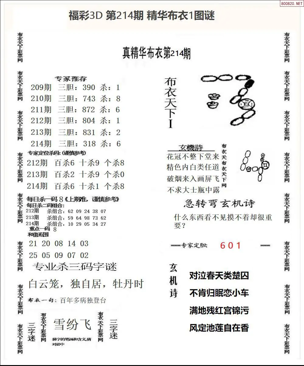 A33精华布衣1